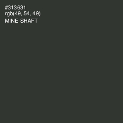 #313631 - Mine Shaft Color Image